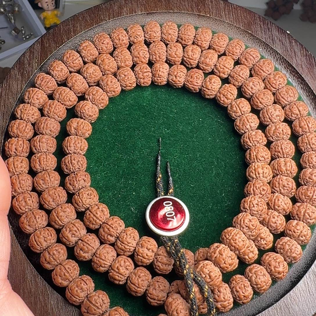 和***貴菩提籽类108原老树王