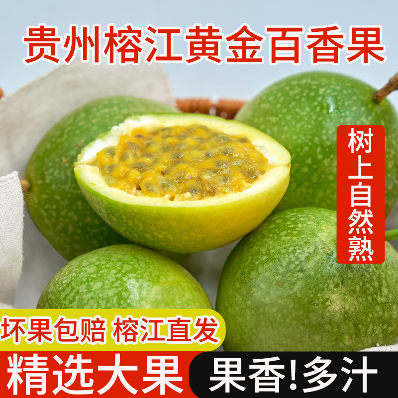 正宗贵州榕江黄金百香果纯香果香甜多汁新鲜水果当季产地直发现摘