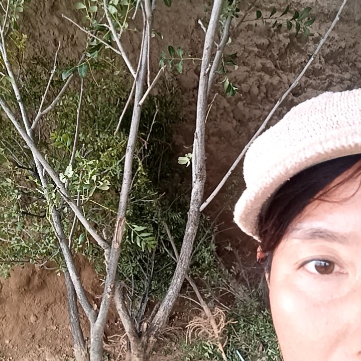 一***白完全开放12345678