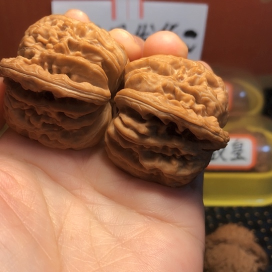 流**歌特价四座楼狮子头