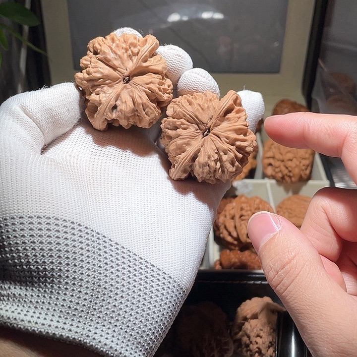 飘*50全品北京官帽狮子头