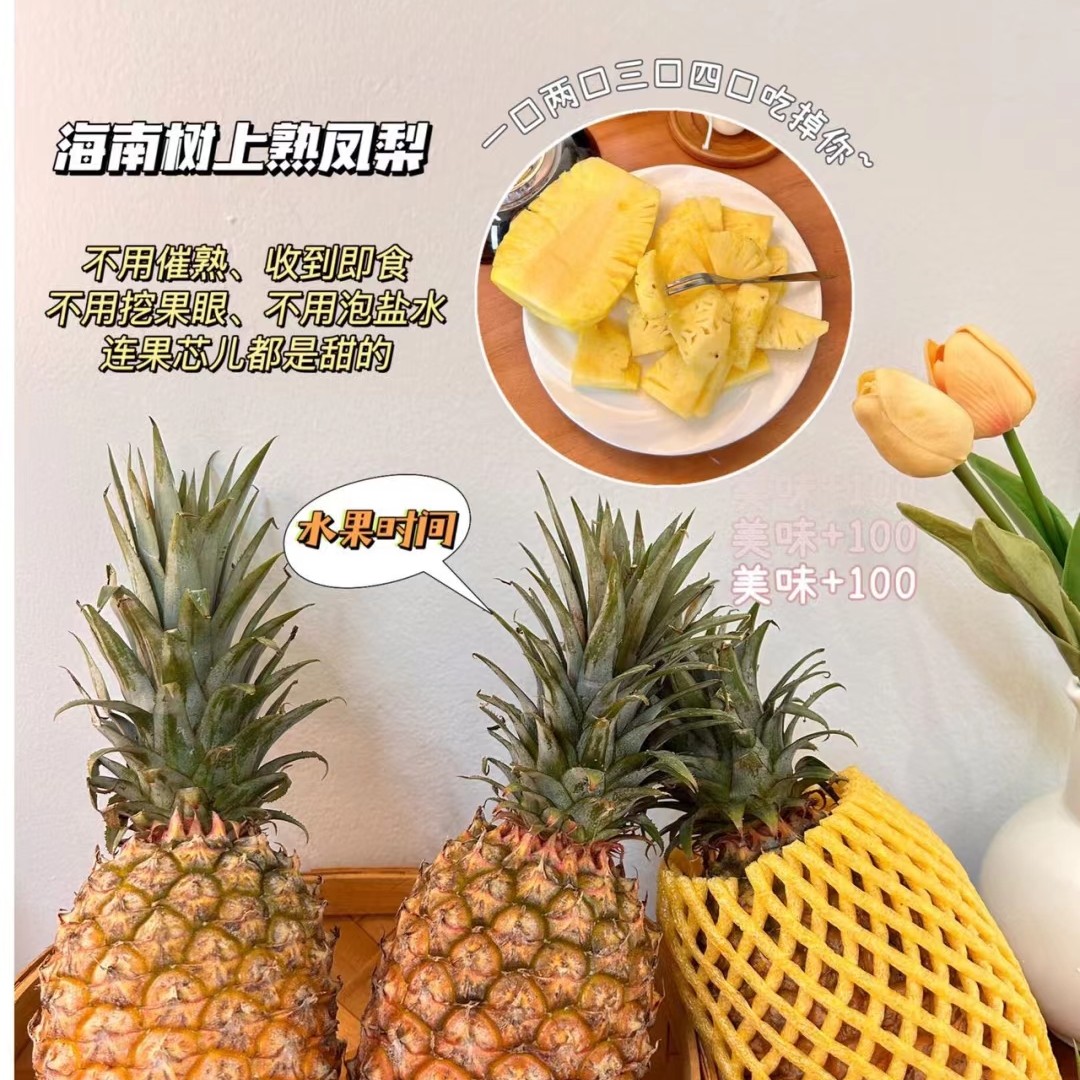 【花熊精品】海南金砖凤梨2个