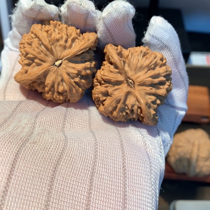 桃核吊坠崔41尺寸满天星