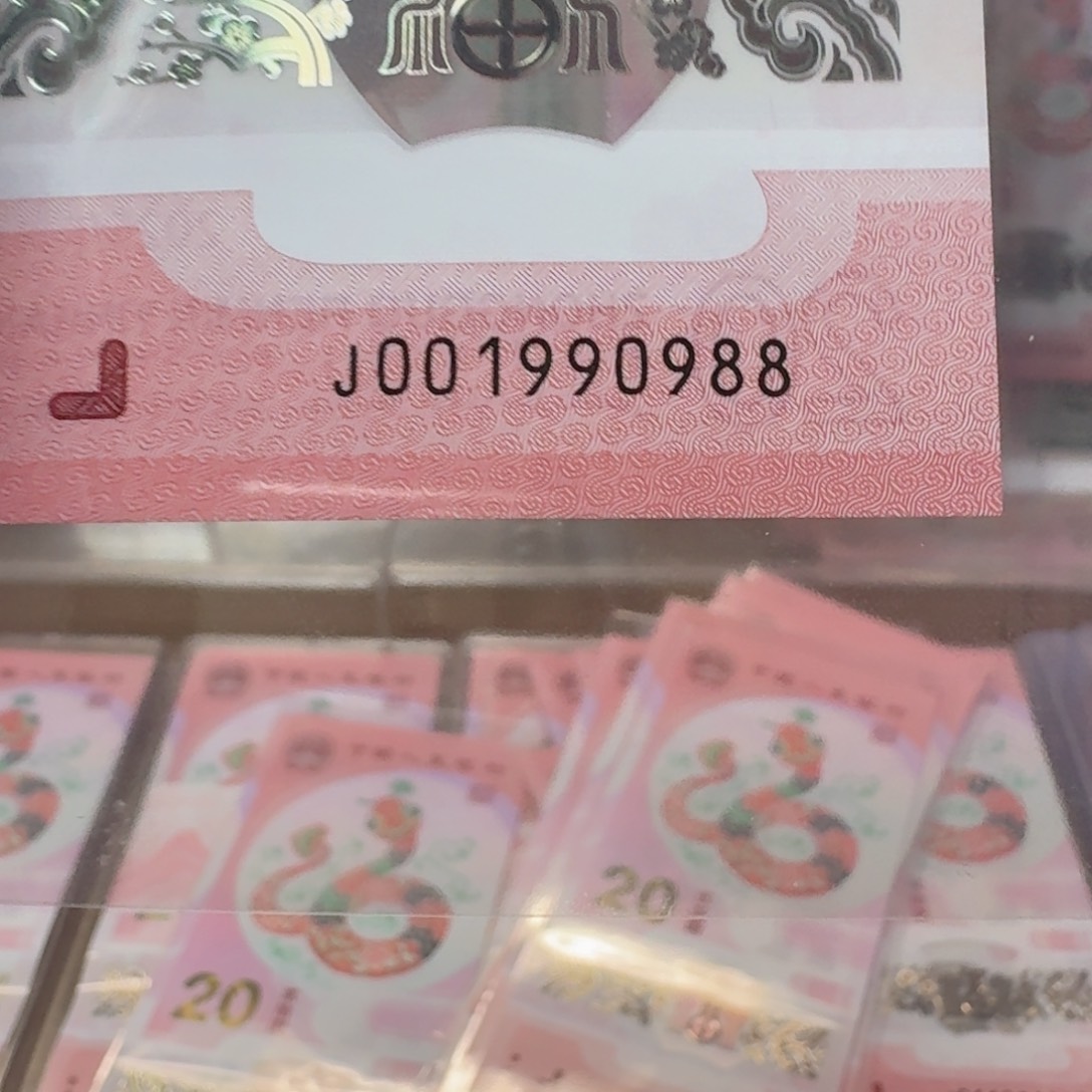 塑料蛇钞J001990988不支持七天无理由