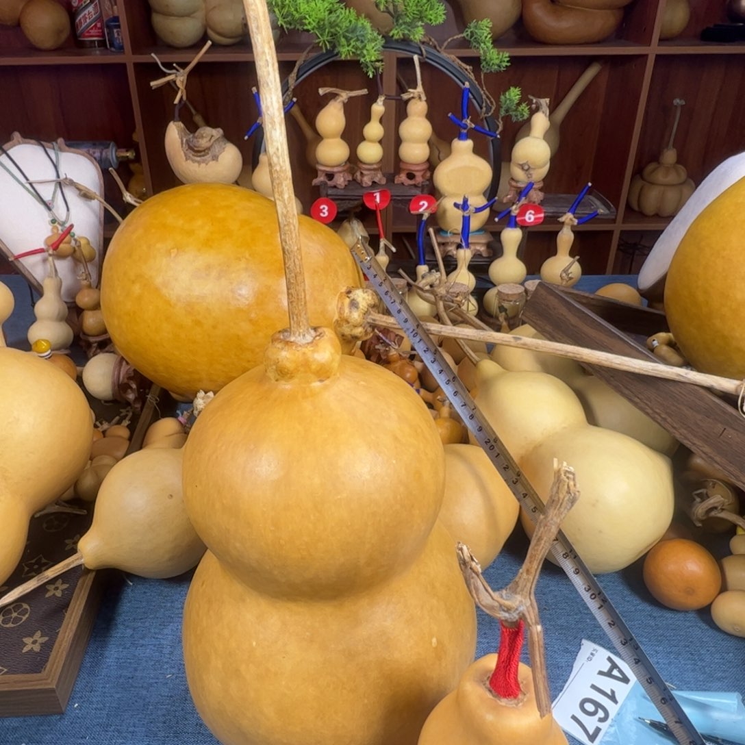 王***壮葫芦葫芦葫芦葫芦葫芦