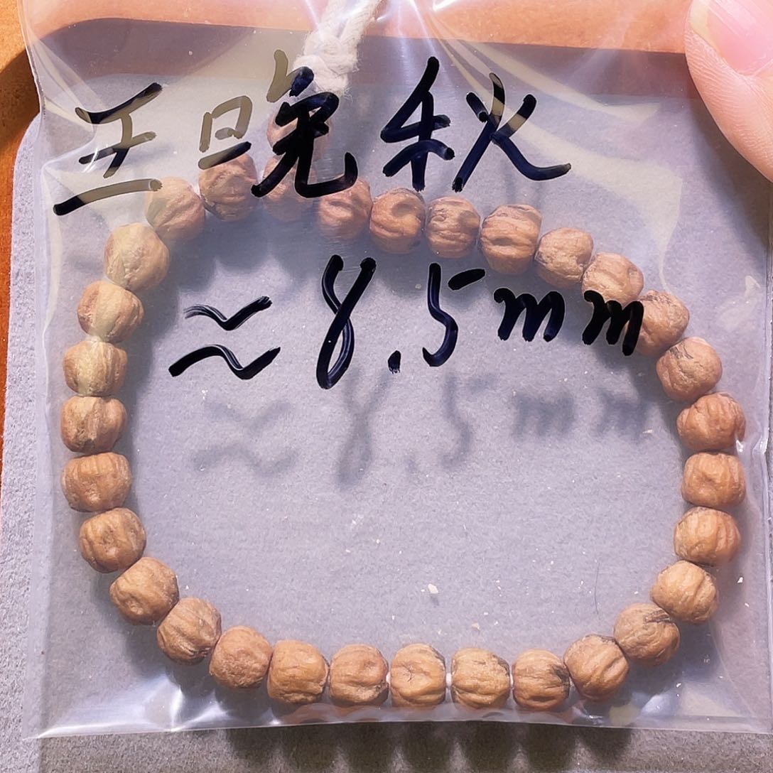 王*秋百香籽 红皮 原桩 手持 8.5mm左右