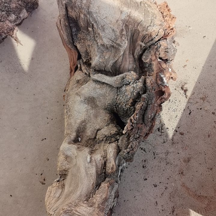 檀香紫檀（小叶紫檀）宁**远