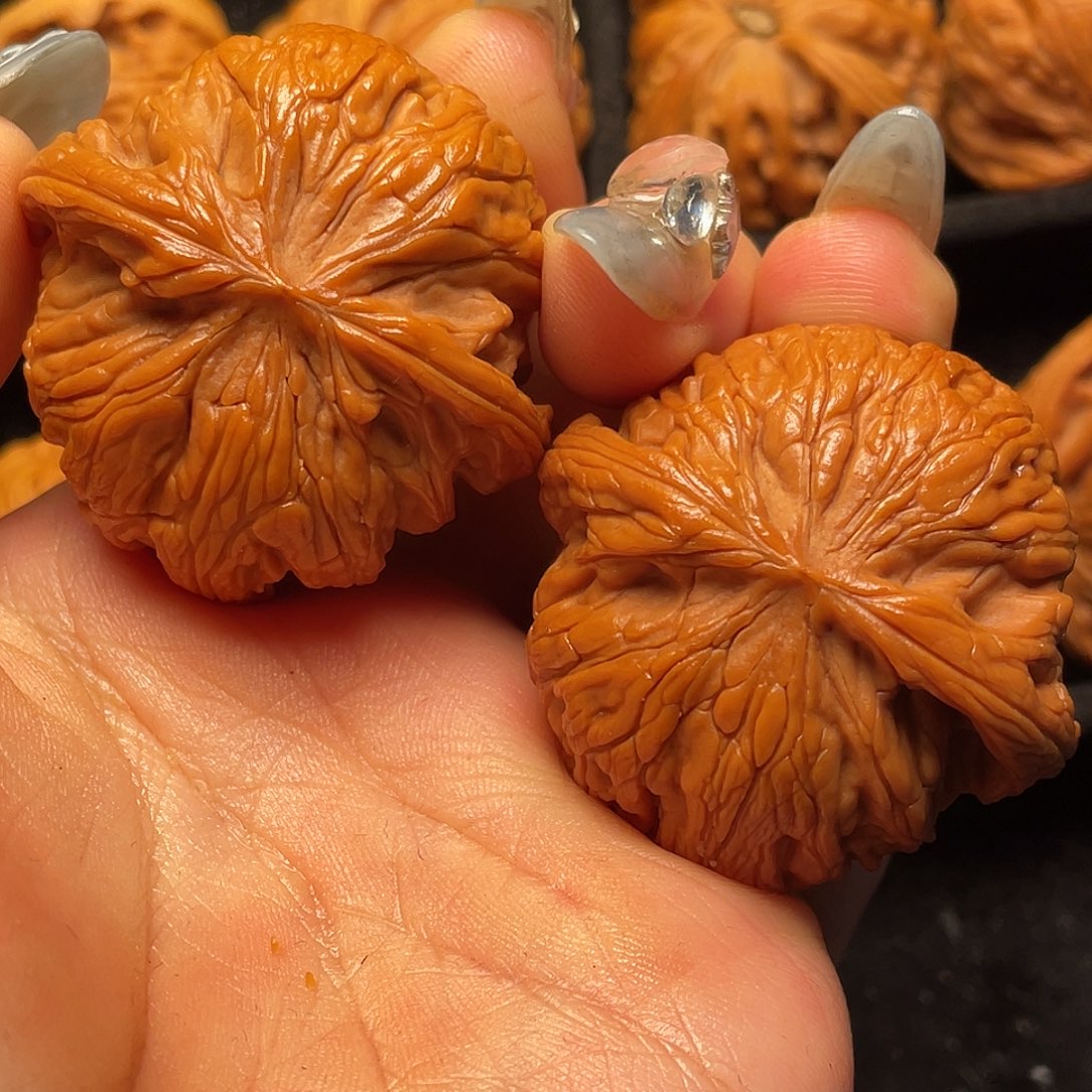 文玩核桃把件秦岭山脉核桃
