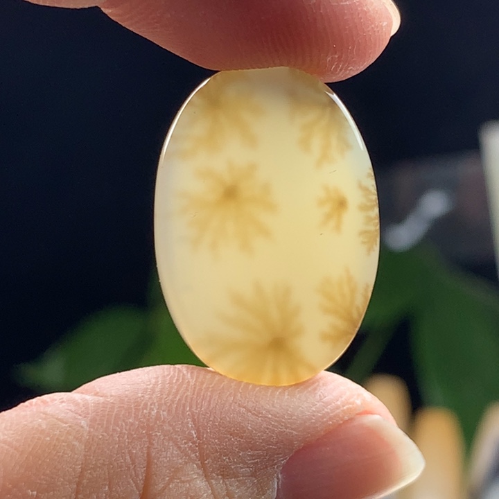 玛瑙/玉髓颈饰未镶嵌49