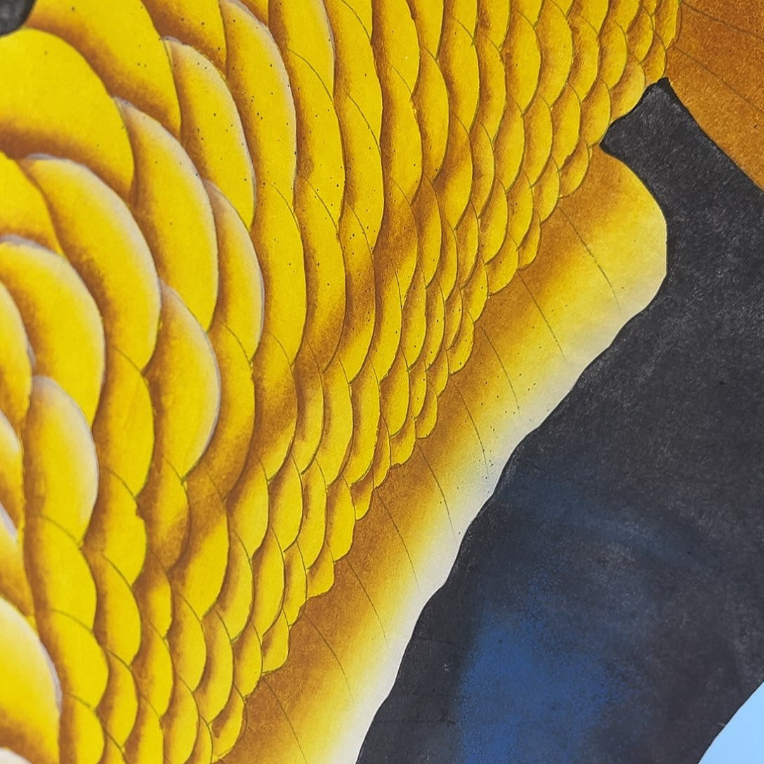 七***哥国画青衿美术馆国画作品