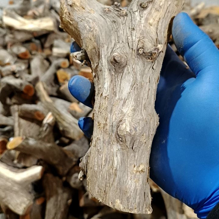 旦***之香榧木崖柏原叉崖柏原叉崖柏原叉