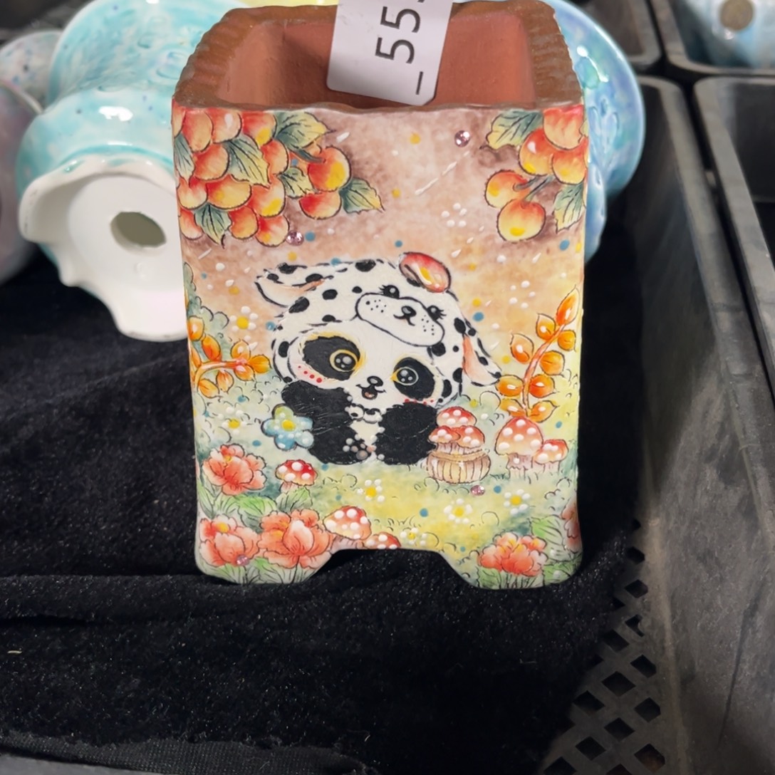 乔***儿555多肉花盆   1个