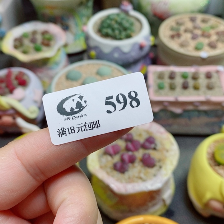 Z***z生石花花花花花花花598