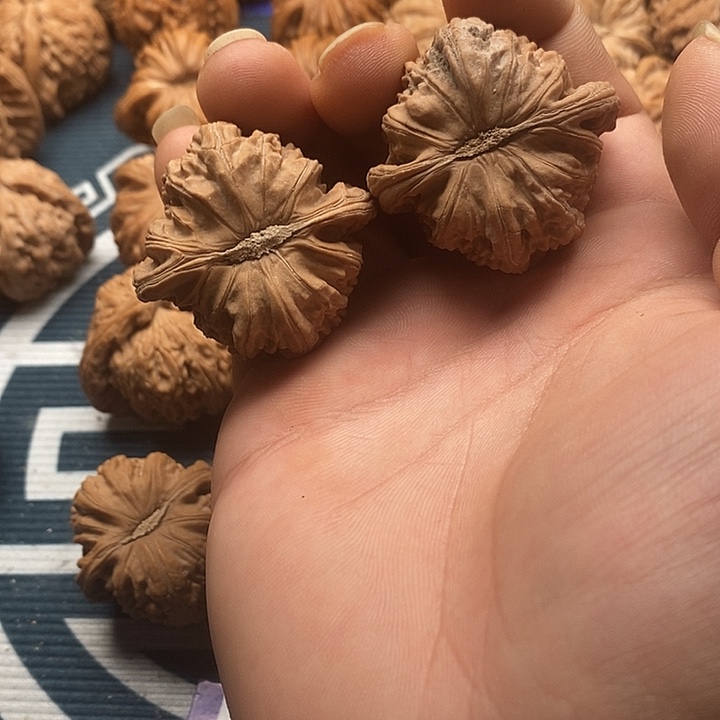 橙***头文玩核桃吊坠白狮子