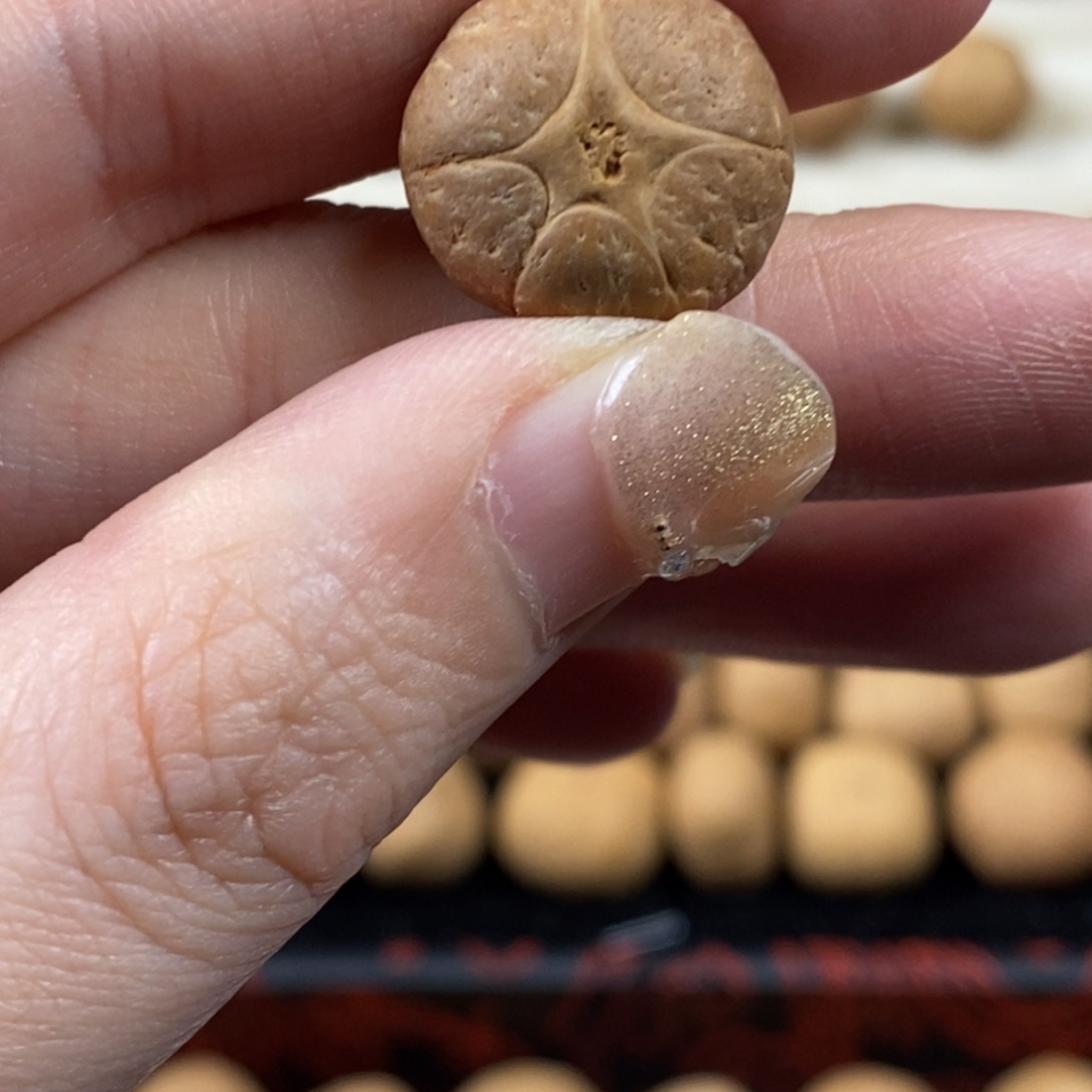 凤眼菩提吊坠五星上将16.9