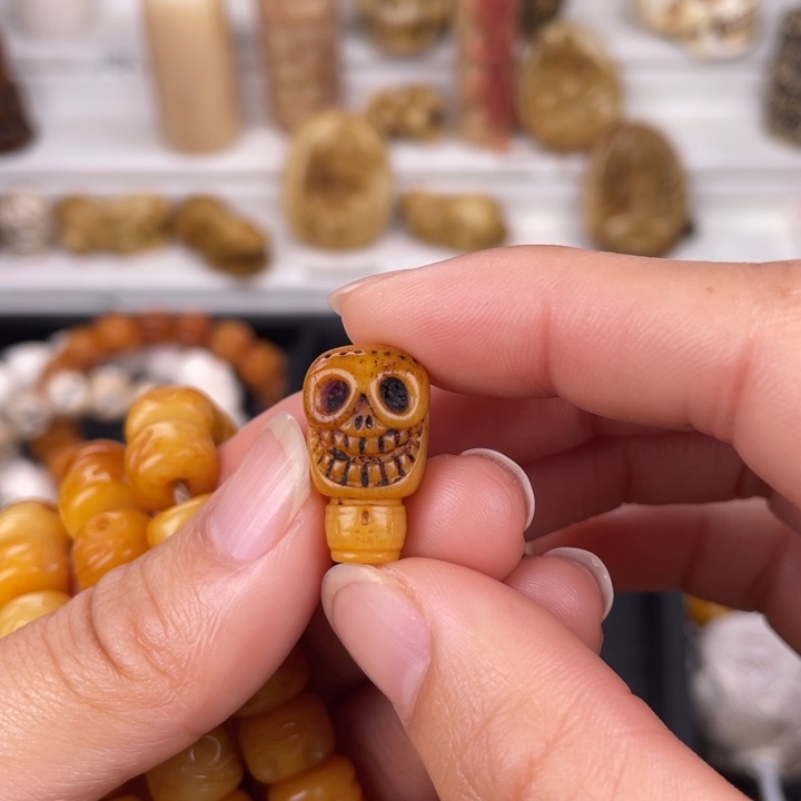 驼骨其他骆驼骨阿呆12