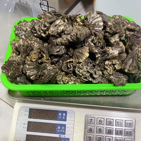 鸡纵超好吃中国大陆