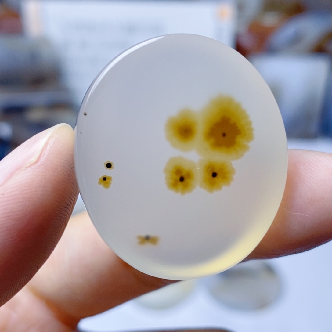 玛瑙/玉髓未镶嵌珠宝半成品