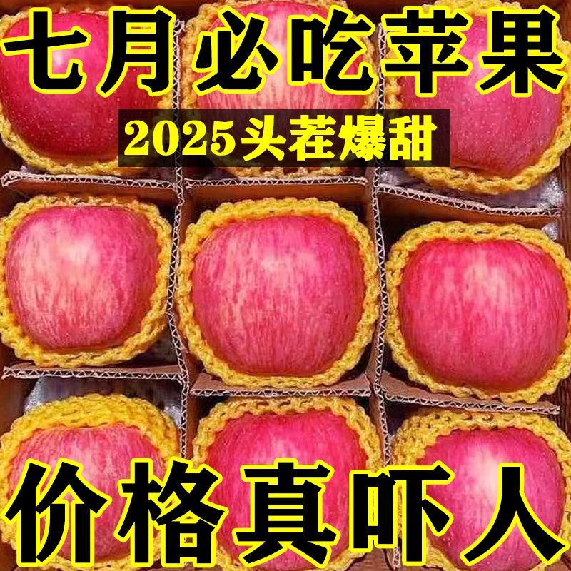 D正宗山东苹果脆甜红富士冰糖心苹果当季新鲜水果整箱批发