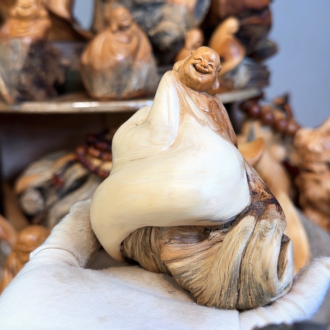 柏木（崖柏）66666666666