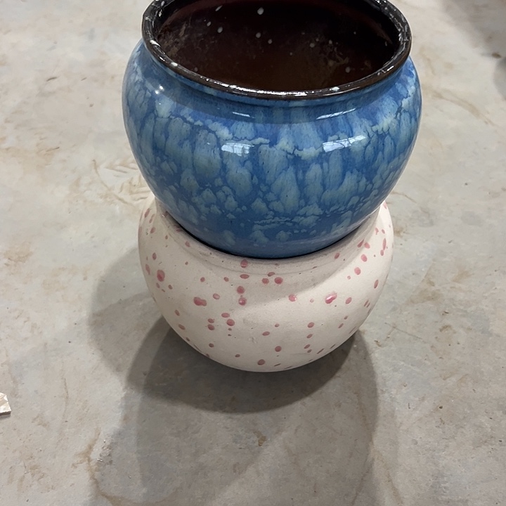 微瑕啦啦啦啦啦花盆