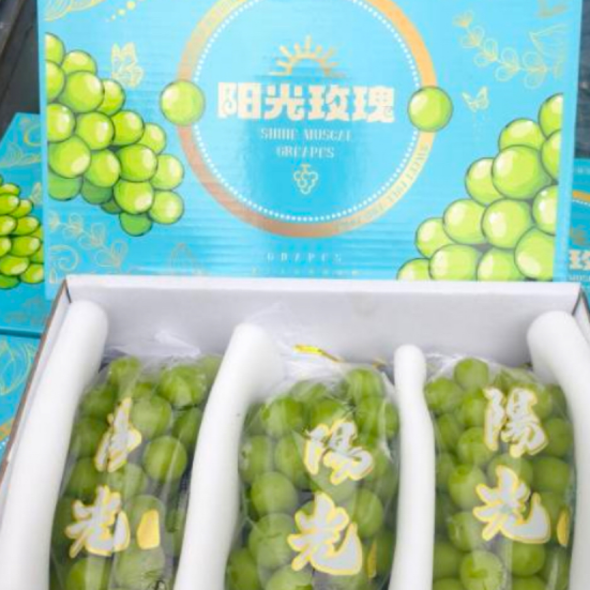 云南阳光玫瑰礼品装河南省