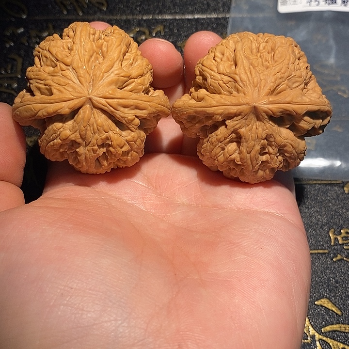 核桃手串/手链45 粗筋