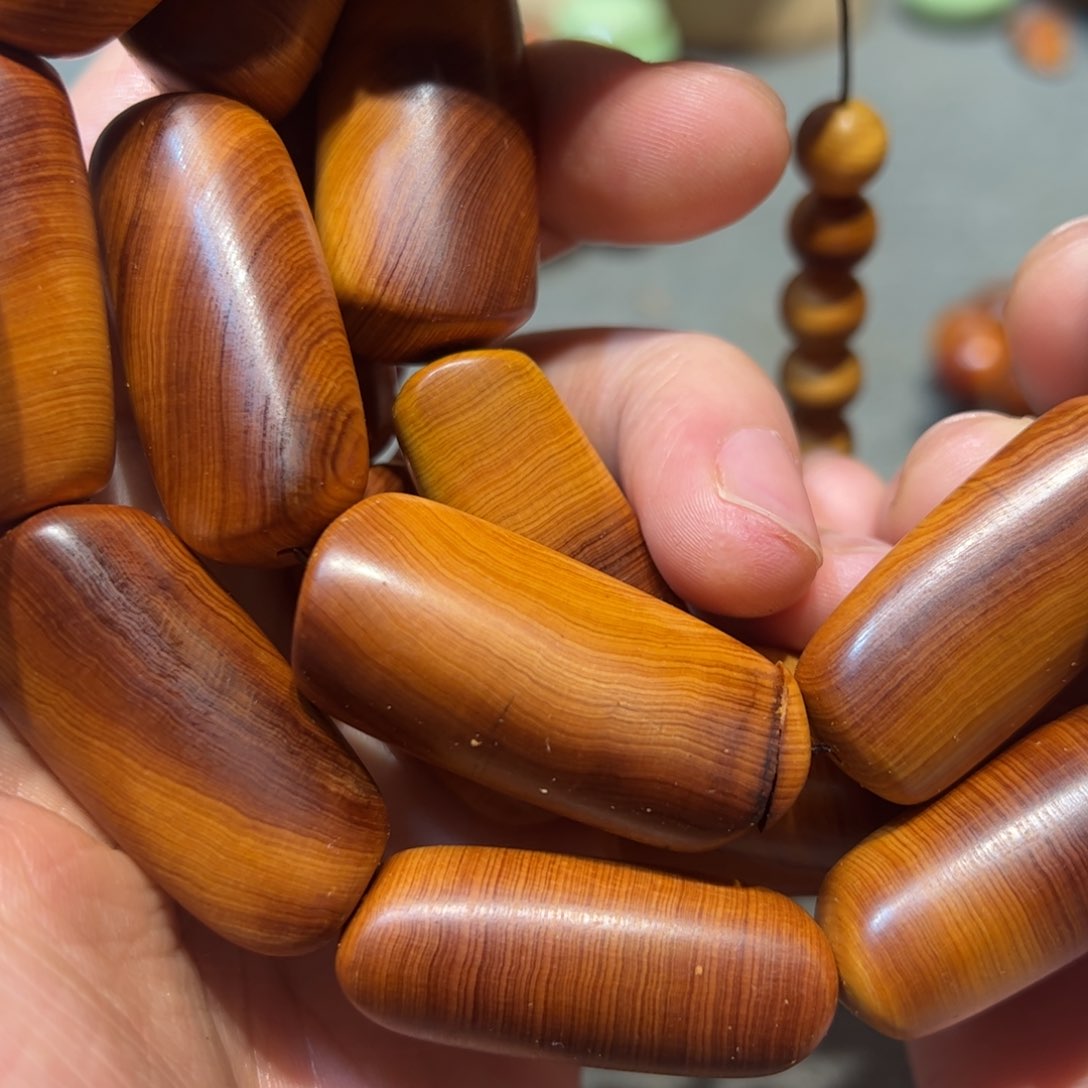 太行崖柏陈化太行