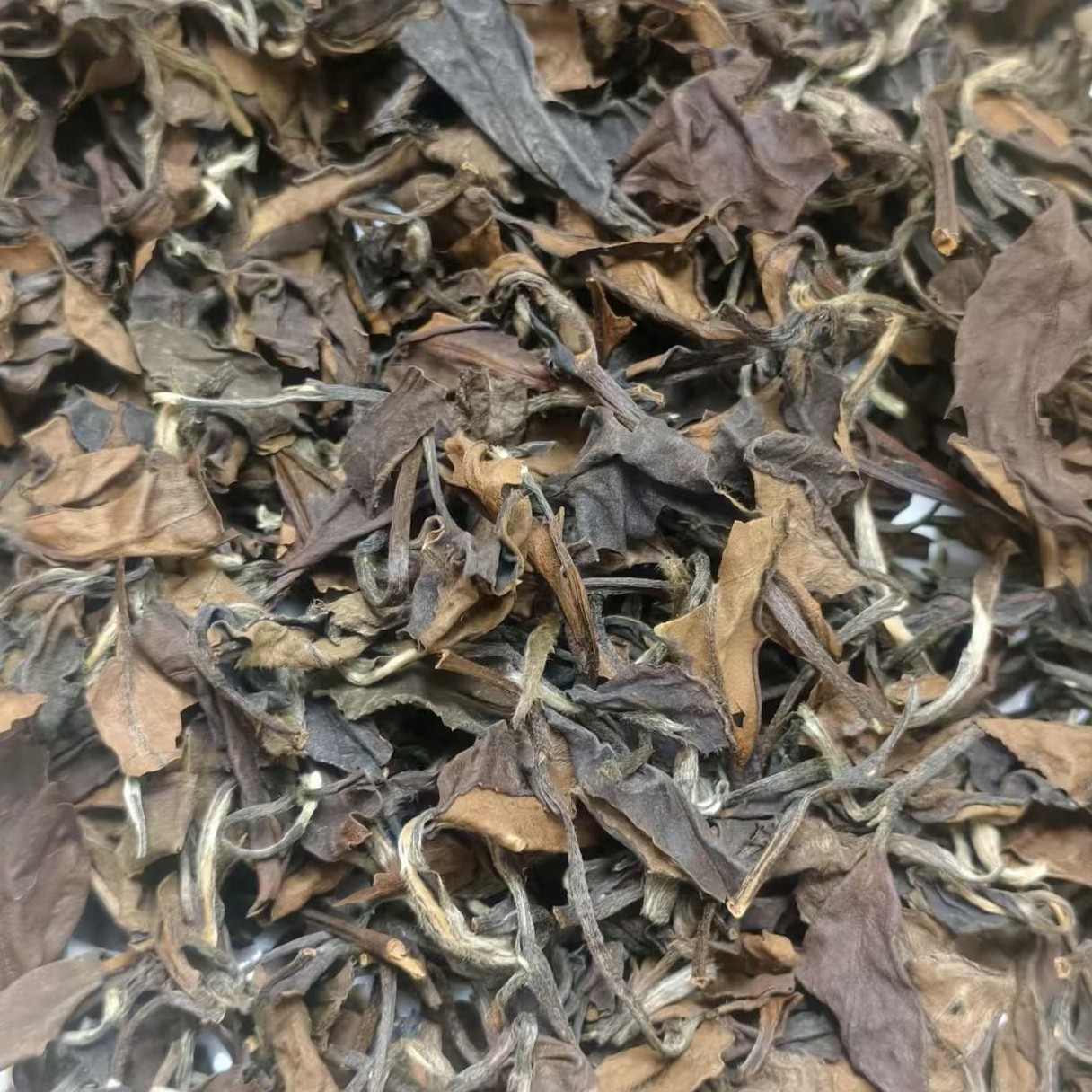2013年老白茶寿眉福鼎白茶管阳茶高山茶枣香药香茶气足散茶