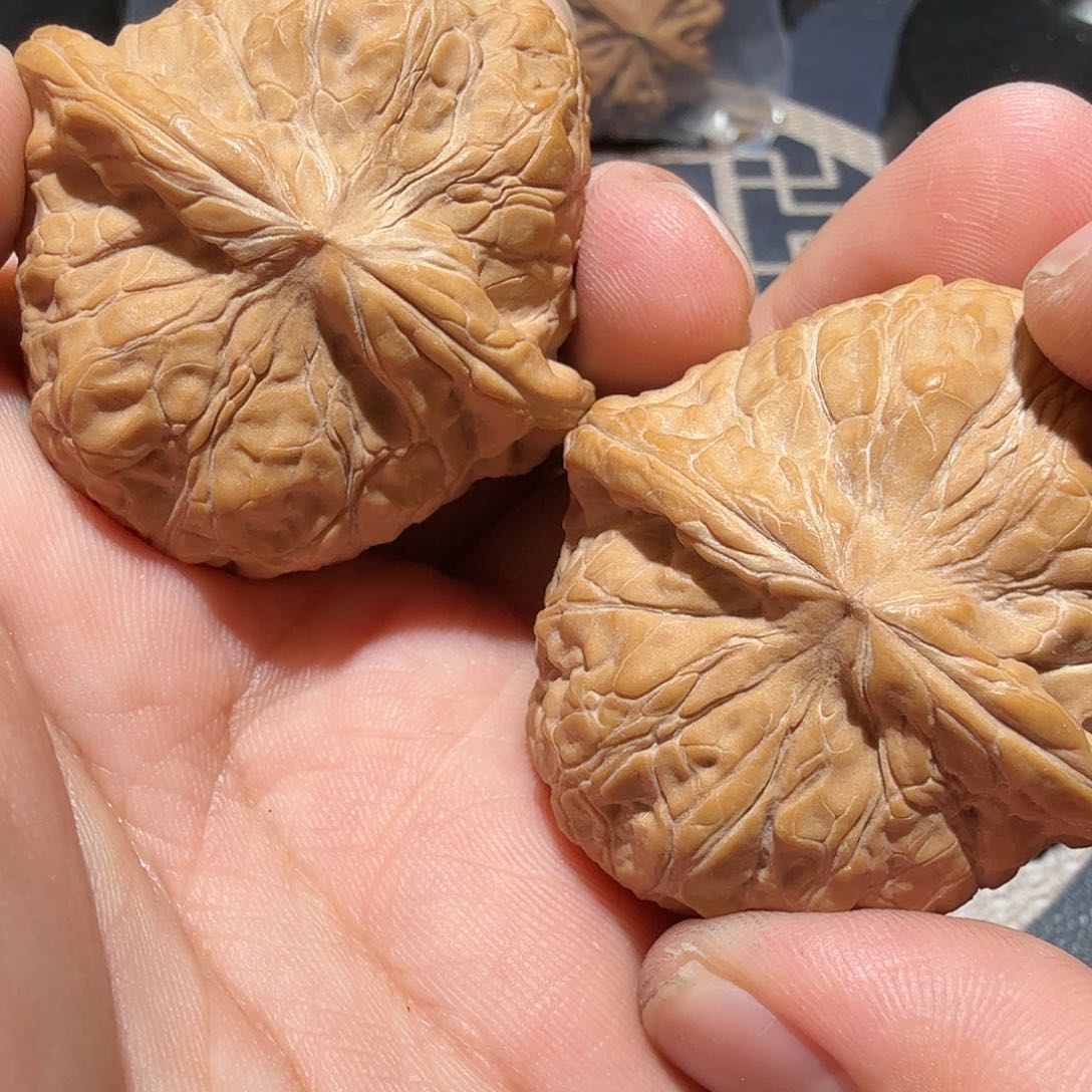 文玩核桃把件南瓜