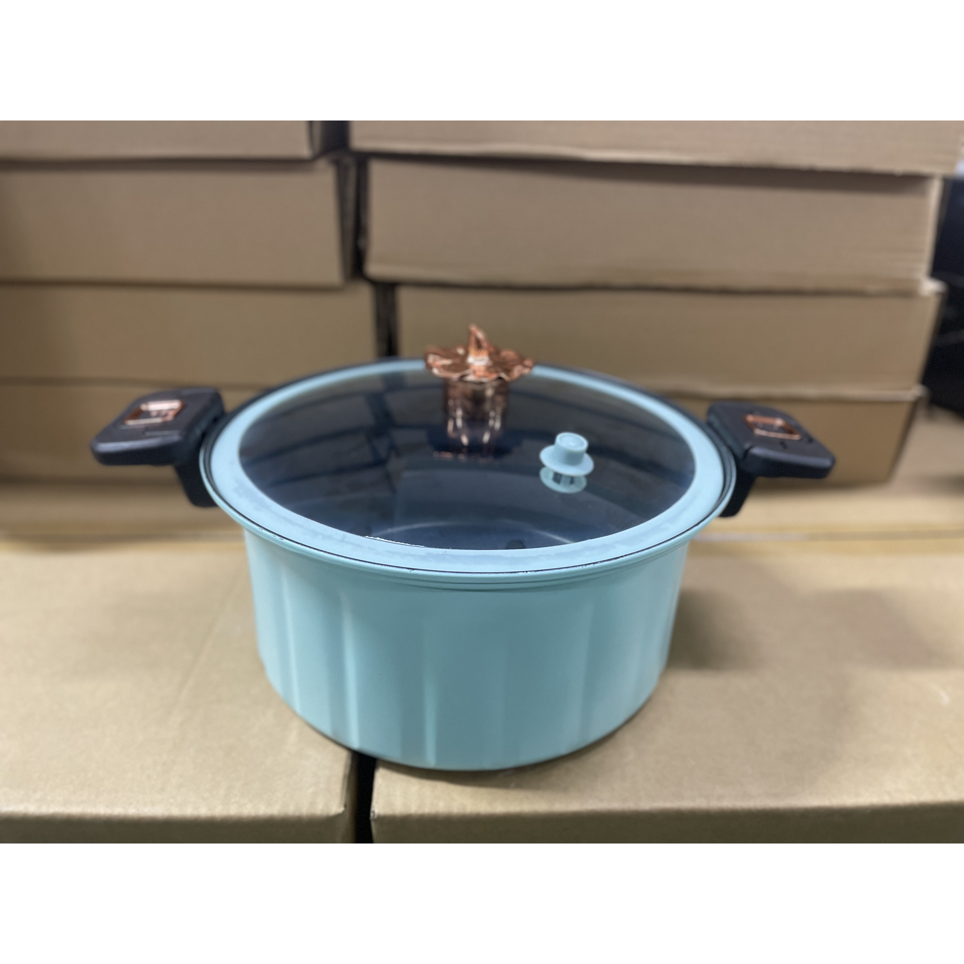 罗马假日微压锅珐琅锅炖锅大容量家用 DY