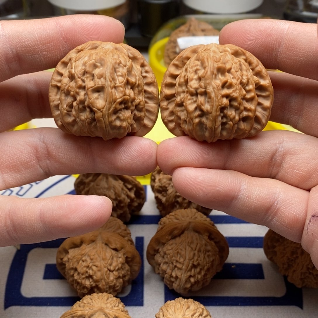 核桃把件四一球白