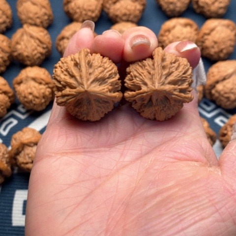 橄榄核手串/手链文山32全品