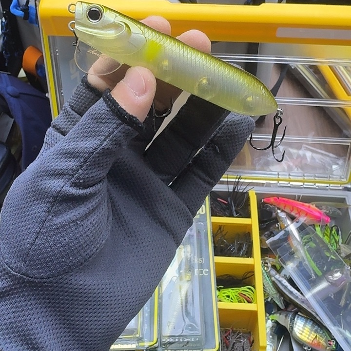 闪购专拍（图片为主）