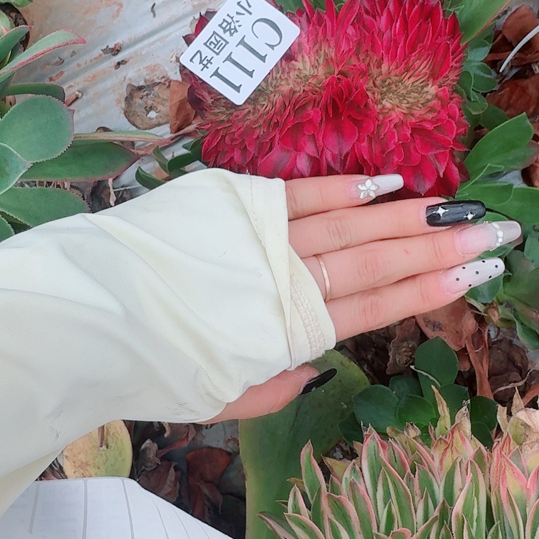 111 缀化无根不包侧枝