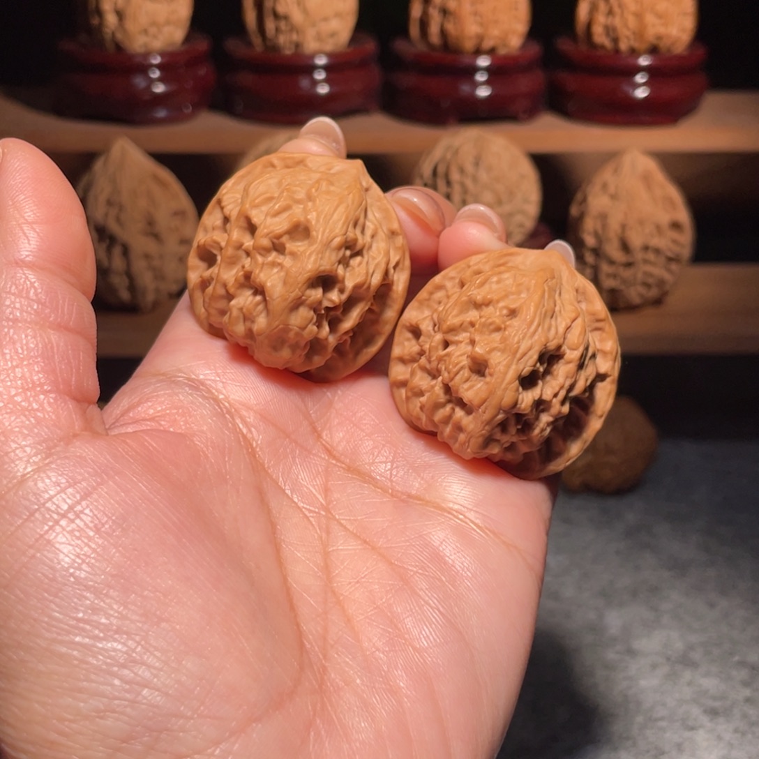 野狼野生全品毕业35