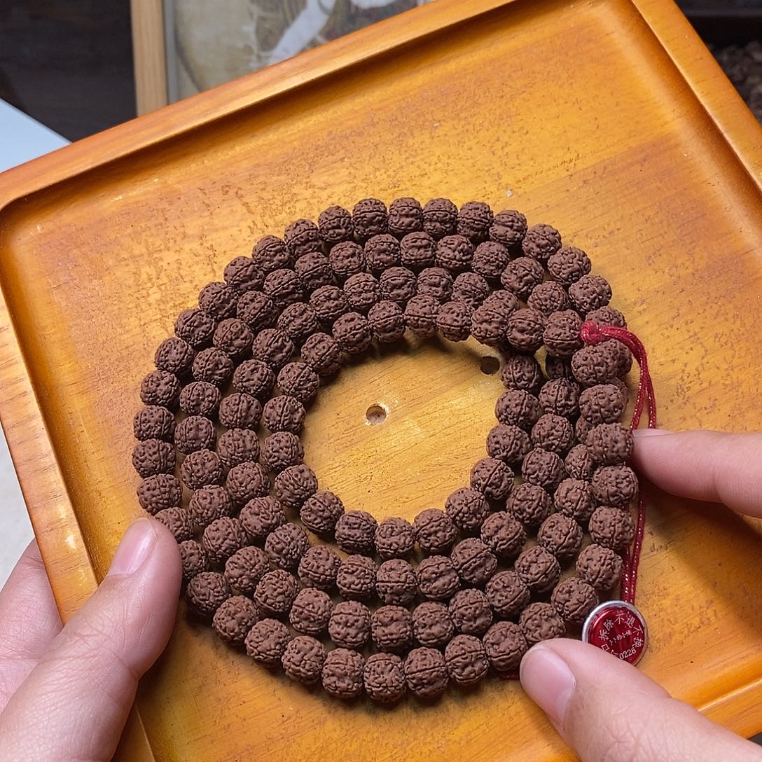 吊坠金刚菩提开播福利老树梅花10