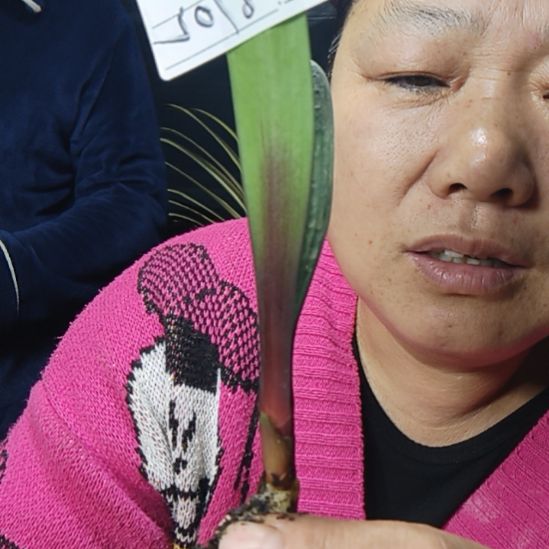 用***7完全开放0249024900