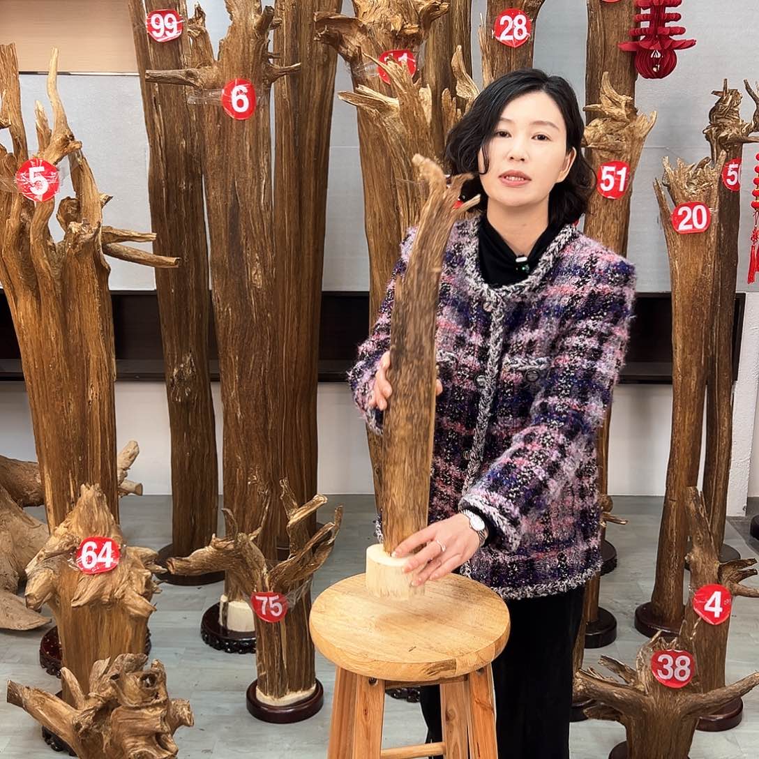 沉香摆件沉香摆件