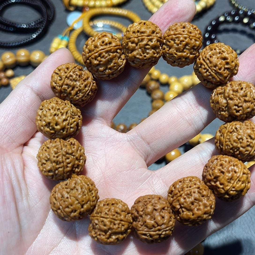大***周金刚菩提手串纯天然金刚菩提五瓣满肉