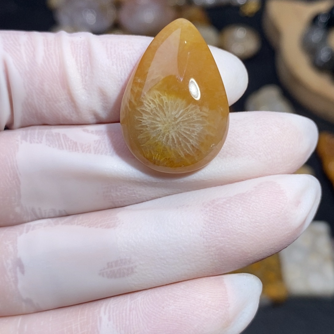 【闪购商品】硅化玉珊瑚玉未镶嵌