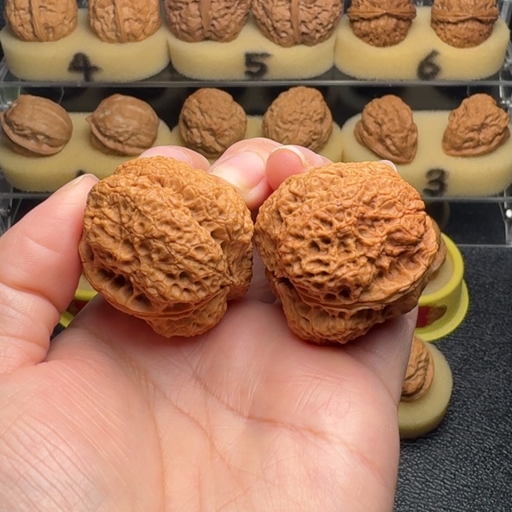 把件文玩核桃26号车