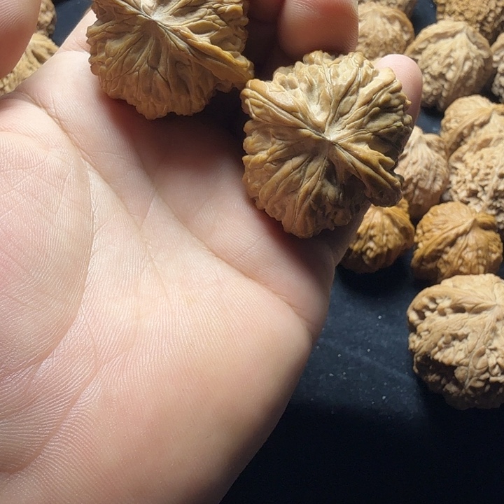 ￥***义44全品磨盘无修无黄