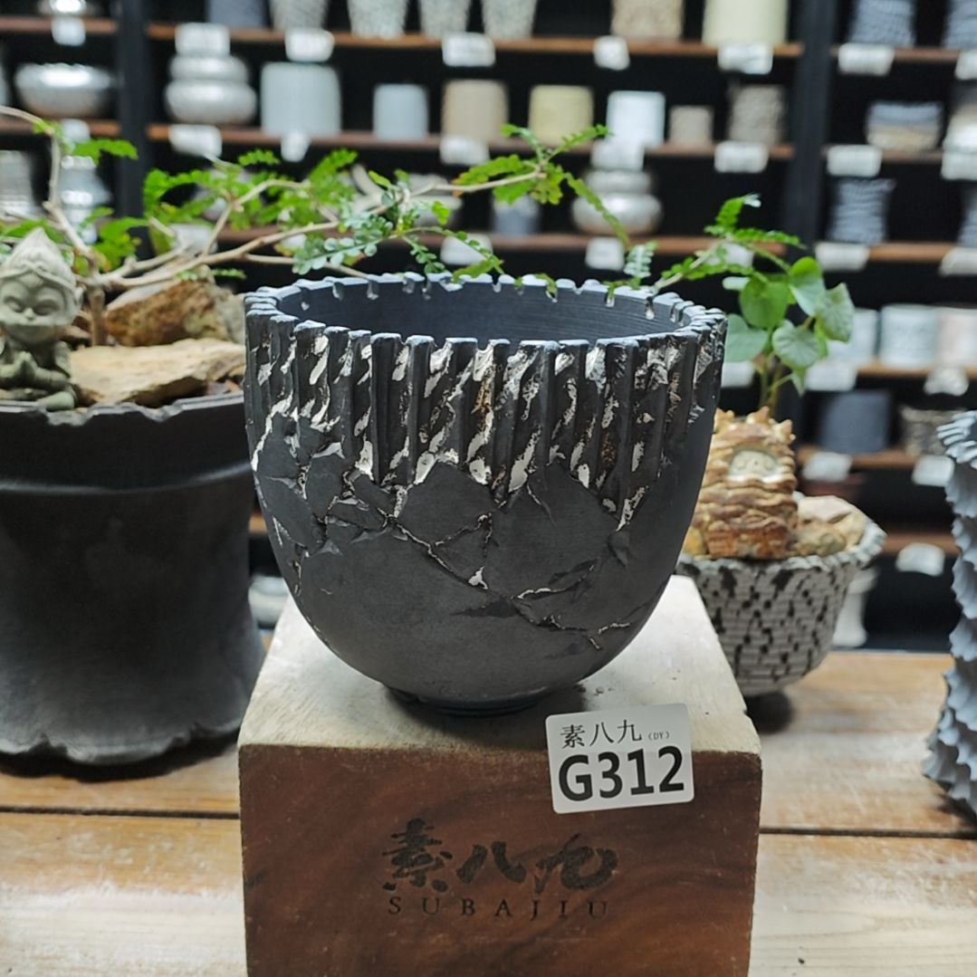 C***s瓷素八九陶瓷内口12高12