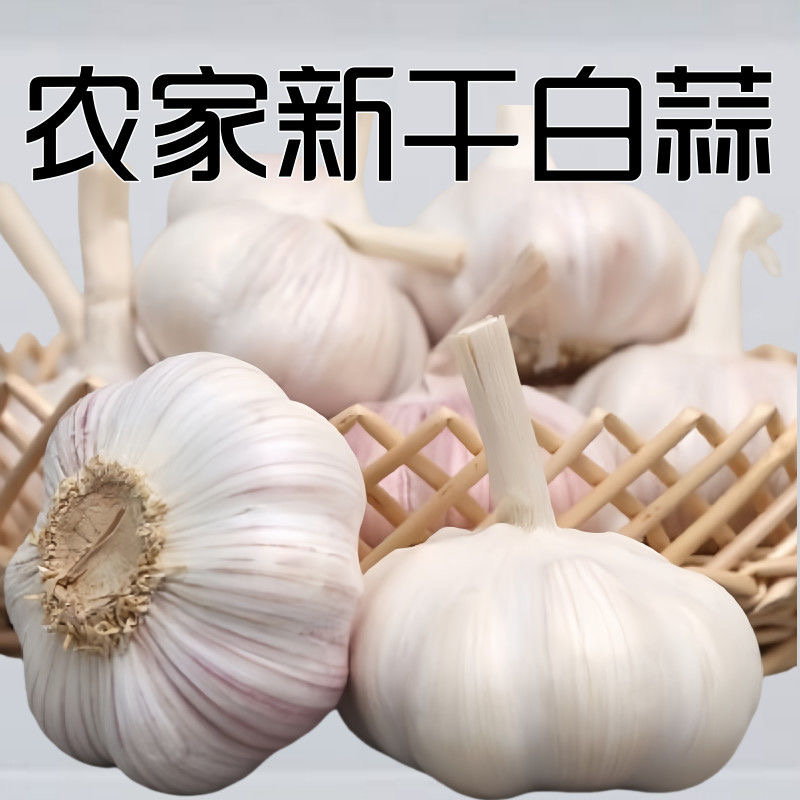 农家白皮干蒜两头