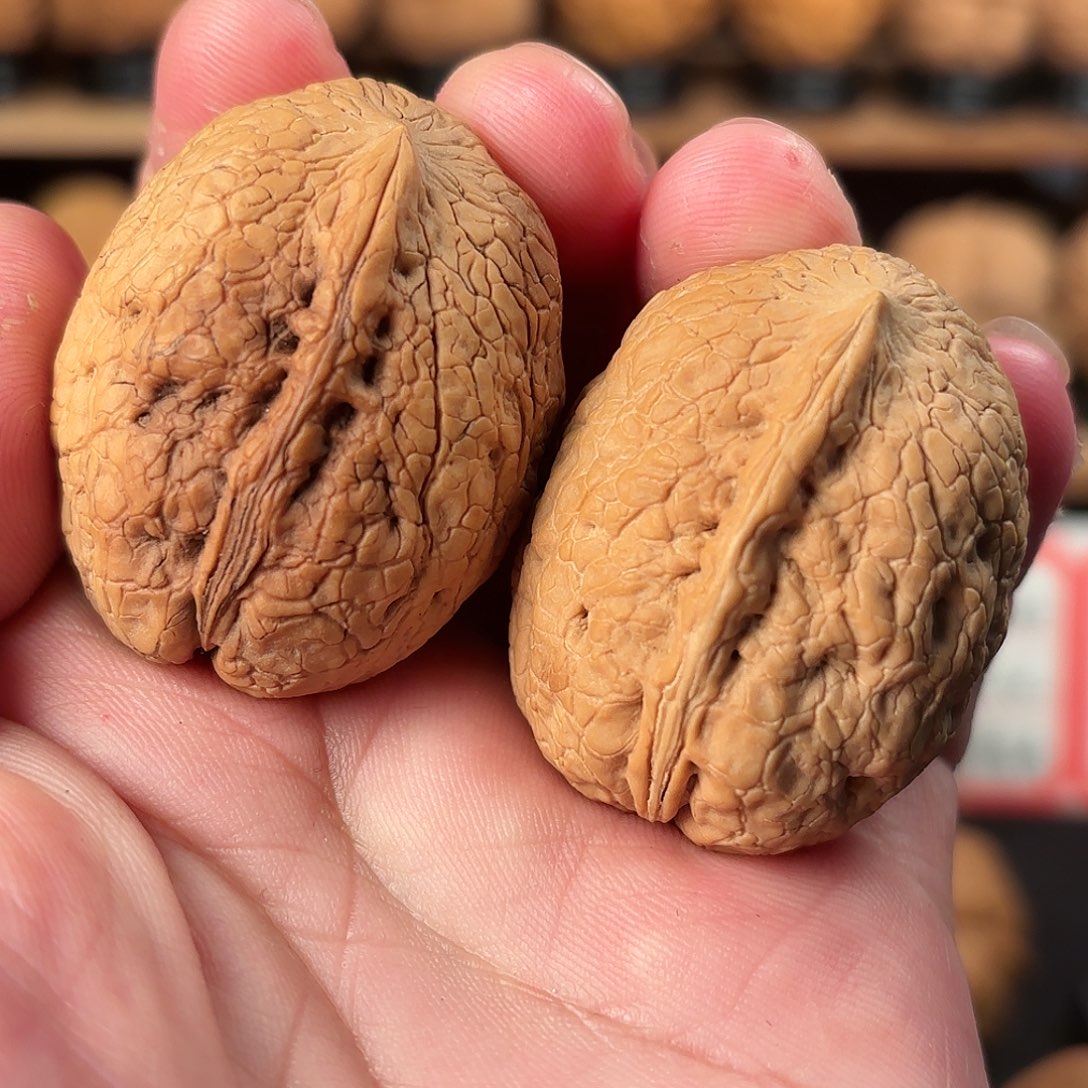 吊坠文玩核桃一帆风顺