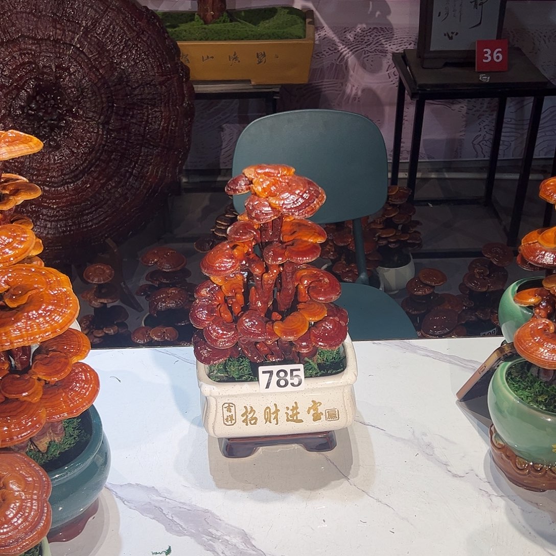 瞎***儿无花朵888888888888