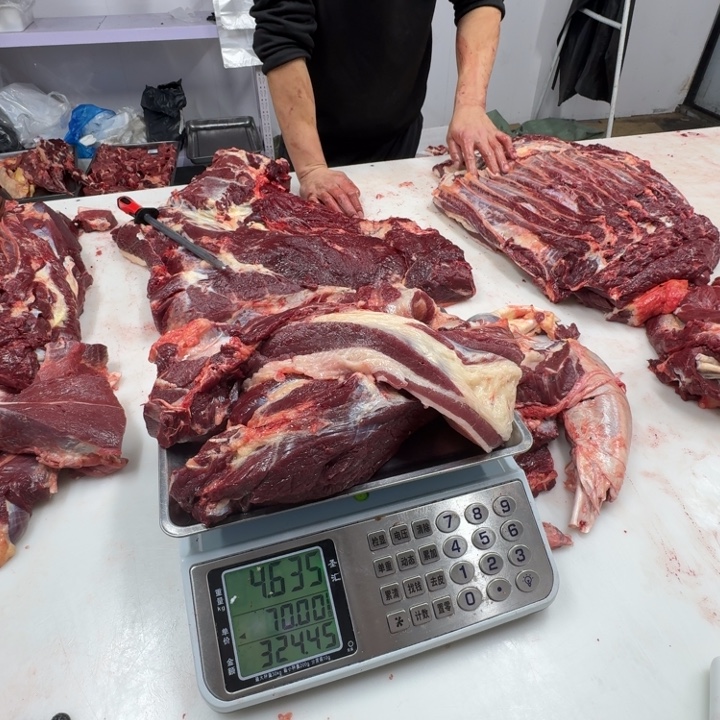 不***年12个月中国大陆腿肋条