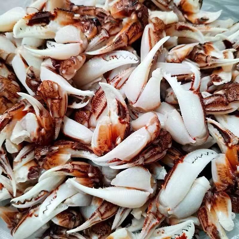 捞汁小海鲜原料蟹钳 醉蟹钳原料 沙 蟹腿 蟹脚 3-10斤顺丰包邮