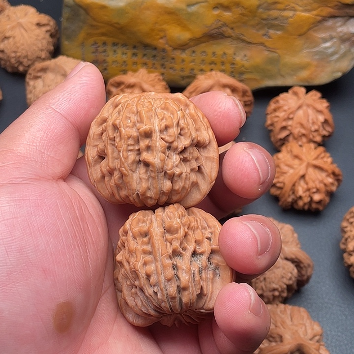 吃***惹核桃四座楼44尺寸全品